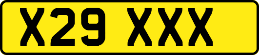 X29XXX