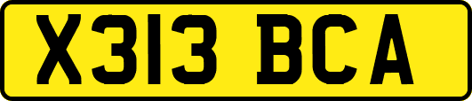X313BCA
