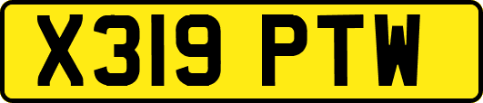 X319PTW