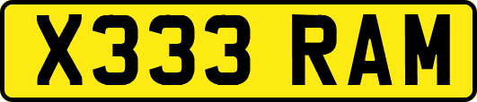 X333RAM