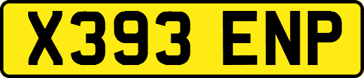 X393ENP
