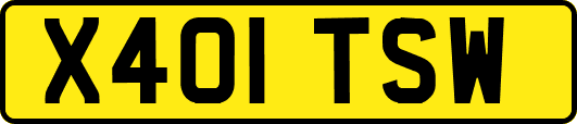 X401TSW