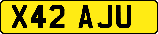 X42AJU