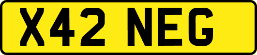 X42NEG