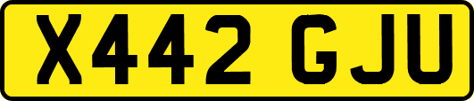 X442GJU
