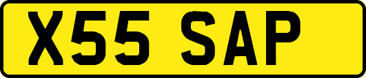X55SAP