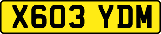 X603YDM