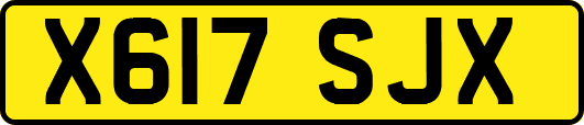 X617SJX