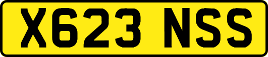X623NSS