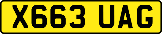 X663UAG