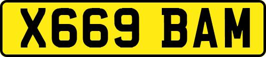 X669BAM