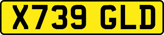 X739GLD