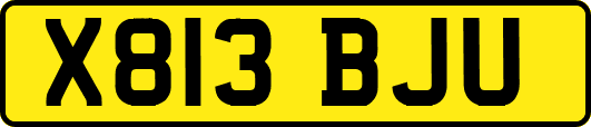 X813BJU