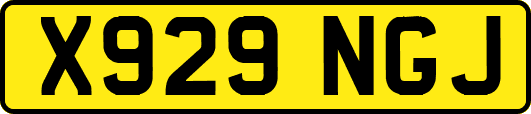 X929NGJ