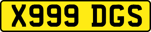 X999DGS