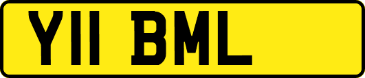 Y11BML