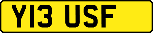 Y13USF