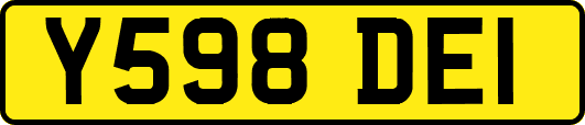 Y598DEI