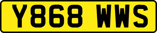 Y868WWS