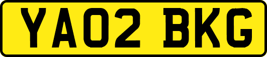 YA02BKG
