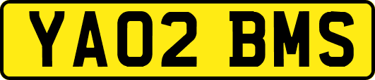 YA02BMS