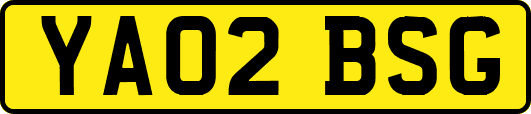 YA02BSG