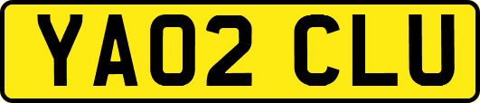 YA02CLU
