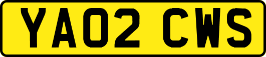 YA02CWS