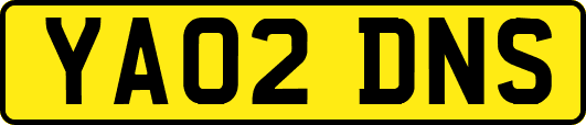 YA02DNS