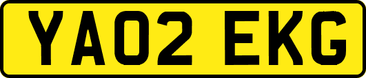 YA02EKG