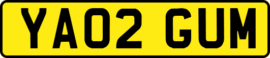 YA02GUM