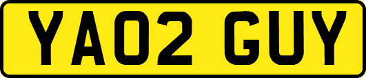 YA02GUY
