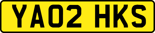 YA02HKS