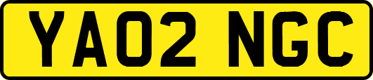 YA02NGC