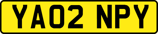 YA02NPY