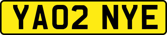 YA02NYE