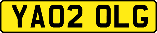 YA02OLG
