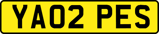 YA02PES