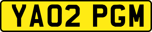 YA02PGM