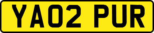 YA02PUR