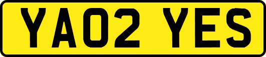 YA02YES
