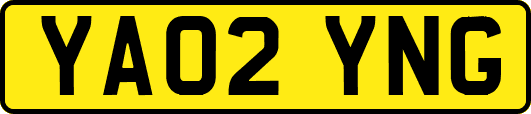 YA02YNG
