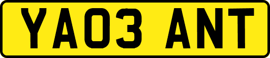 YA03ANT