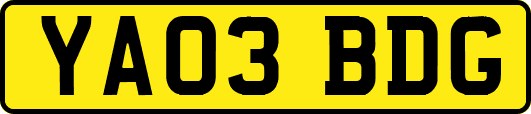 YA03BDG