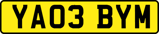 YA03BYM