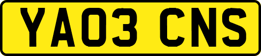 YA03CNS