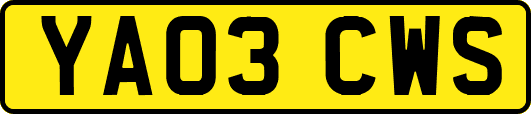 YA03CWS