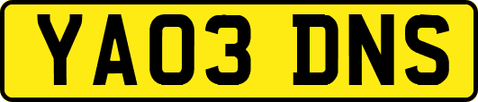 YA03DNS