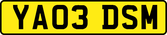 YA03DSM