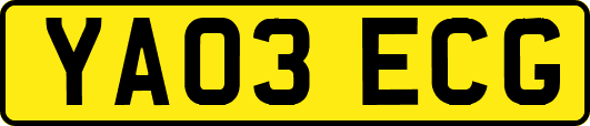 YA03ECG